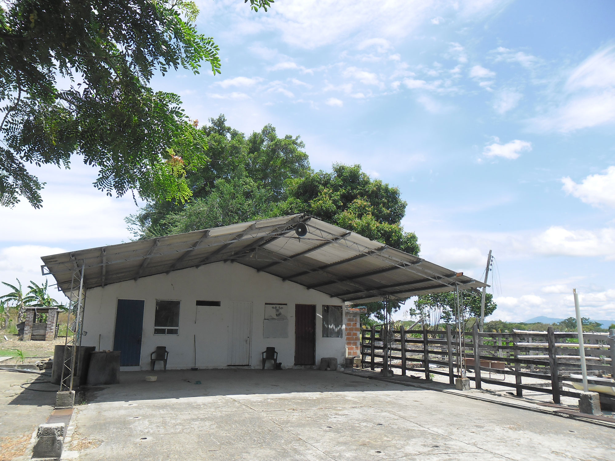 VENTA DE FINCA ARROCERA EN VENADILLO