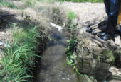 VENTA DE FINCA ARROCERA EN VENADILLO