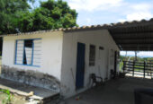 VENTA DE FINCA ARROCERA EN VENADILLO