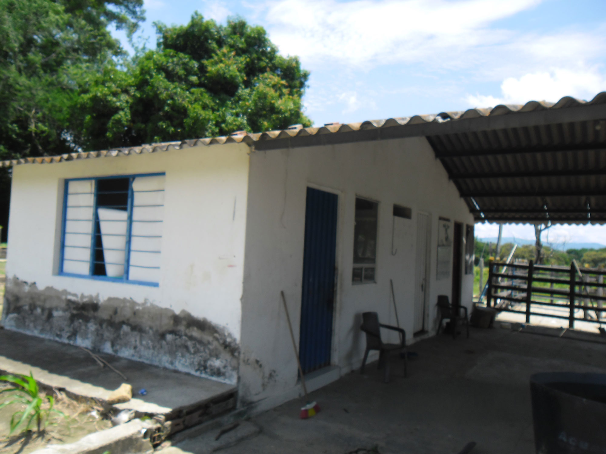 VENTA DE FINCA ARROCERA EN VENADILLO