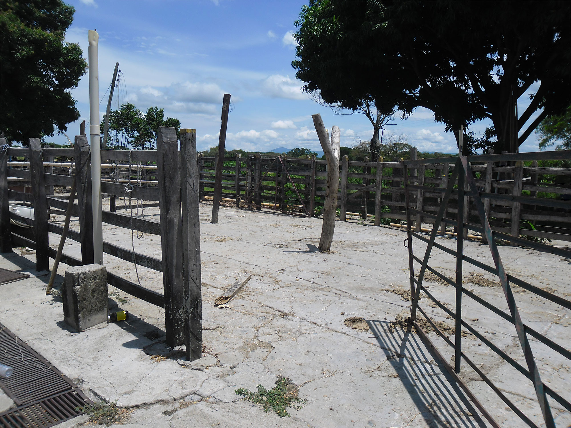 VENTA DE FINCA ARROCERA EN VENADILLO