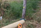 VENTA DE FINCA ARROCERA EN AMBALEMA