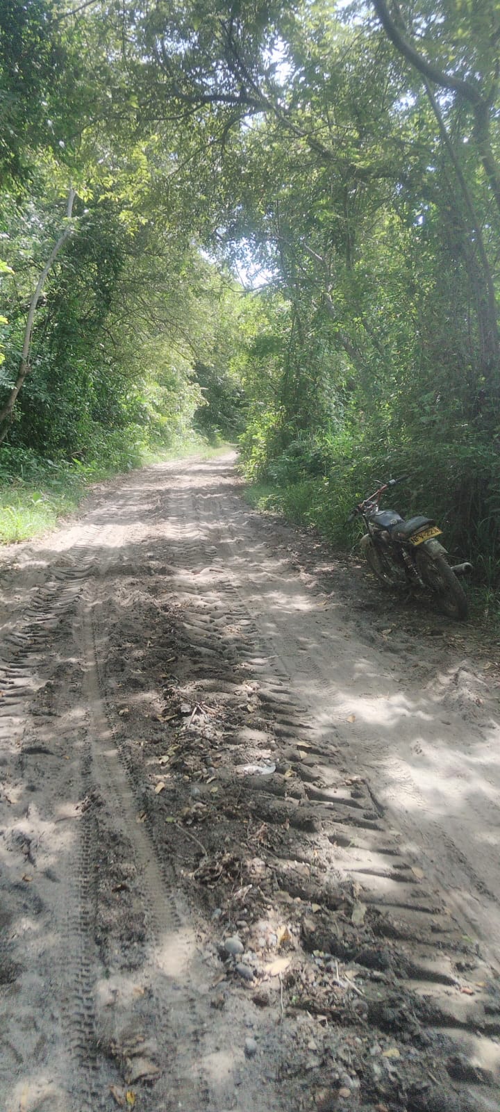 VENTA DE FINCA ARROCERA EN AMBALEMA