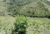 VENTA DE FINCA GANADERA EN VENADILLO