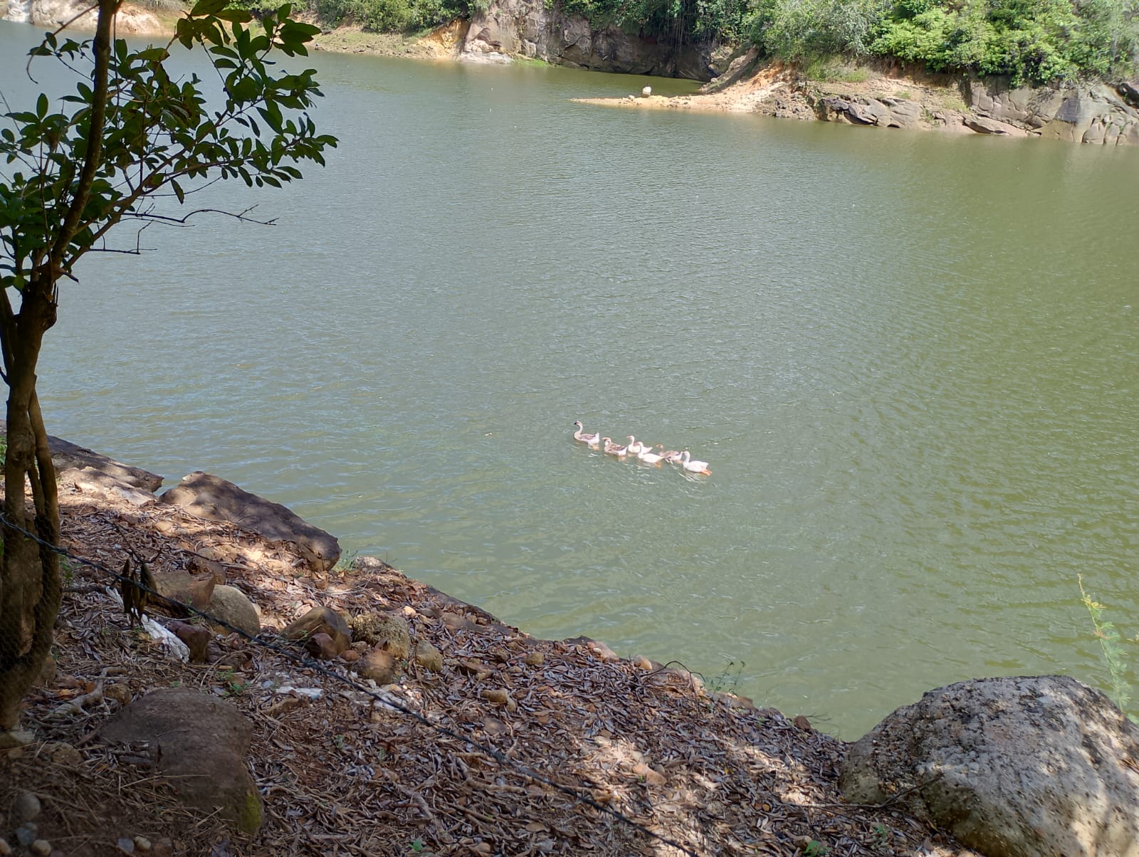 LOTES PARA CASAS CAMPESTRES REPRESA HIDROPRADO