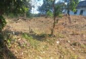 VENTA DE FINCA ARROCERA EN ARMERO