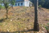 VENTA DE FINCA ARROCERA EN ARMERO