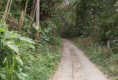 SE VENDE LOTE CAMPRESTRE EN IBAGUÉ