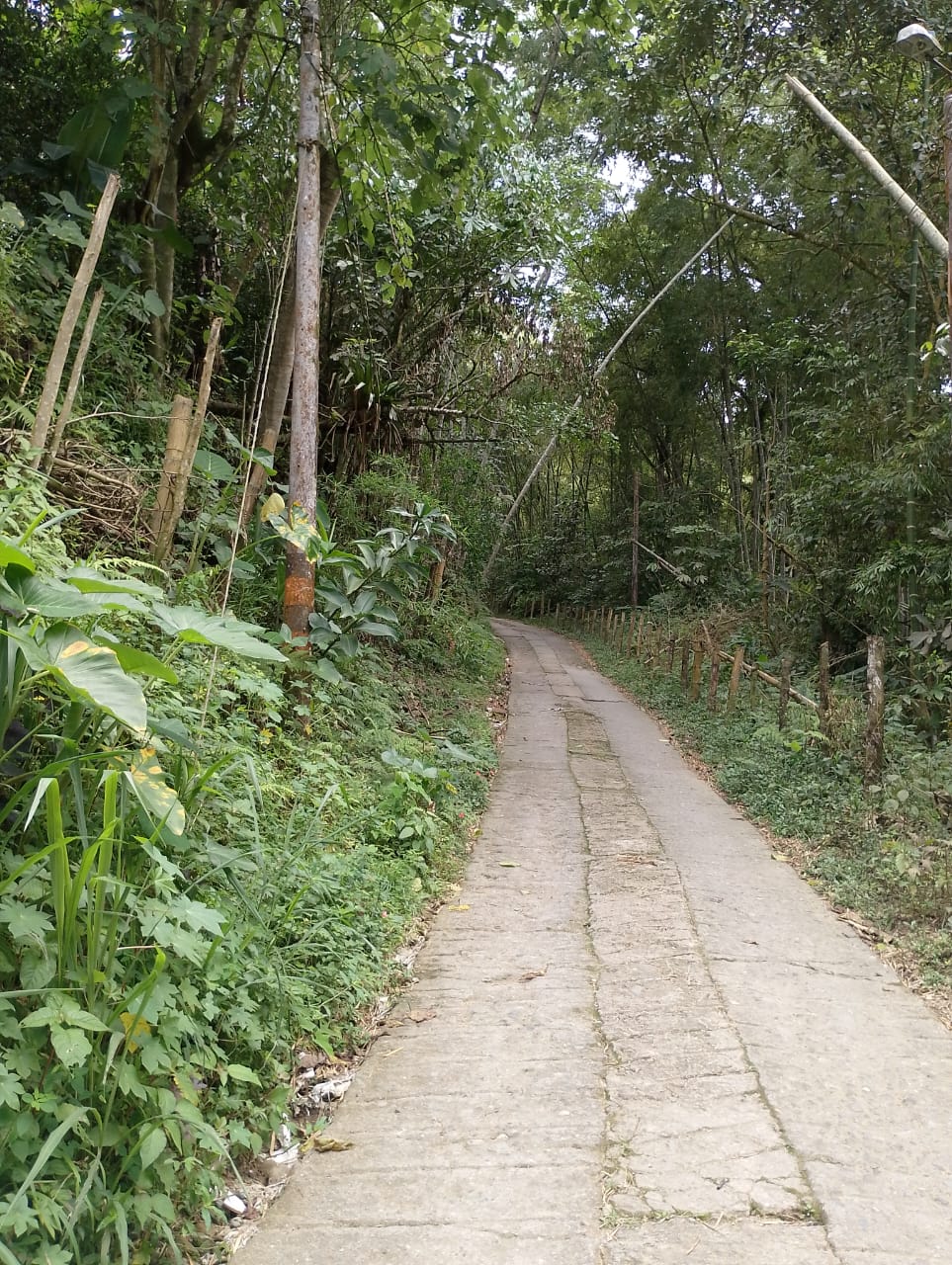 SE VENDE LOTE CAMPRESTRE EN IBAGUÉ
