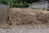 SE VENDE LOTE CAMPRESTRE EN IBAGUÉ