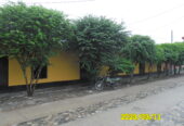 VENTA DE CASA EN VENADILLO
