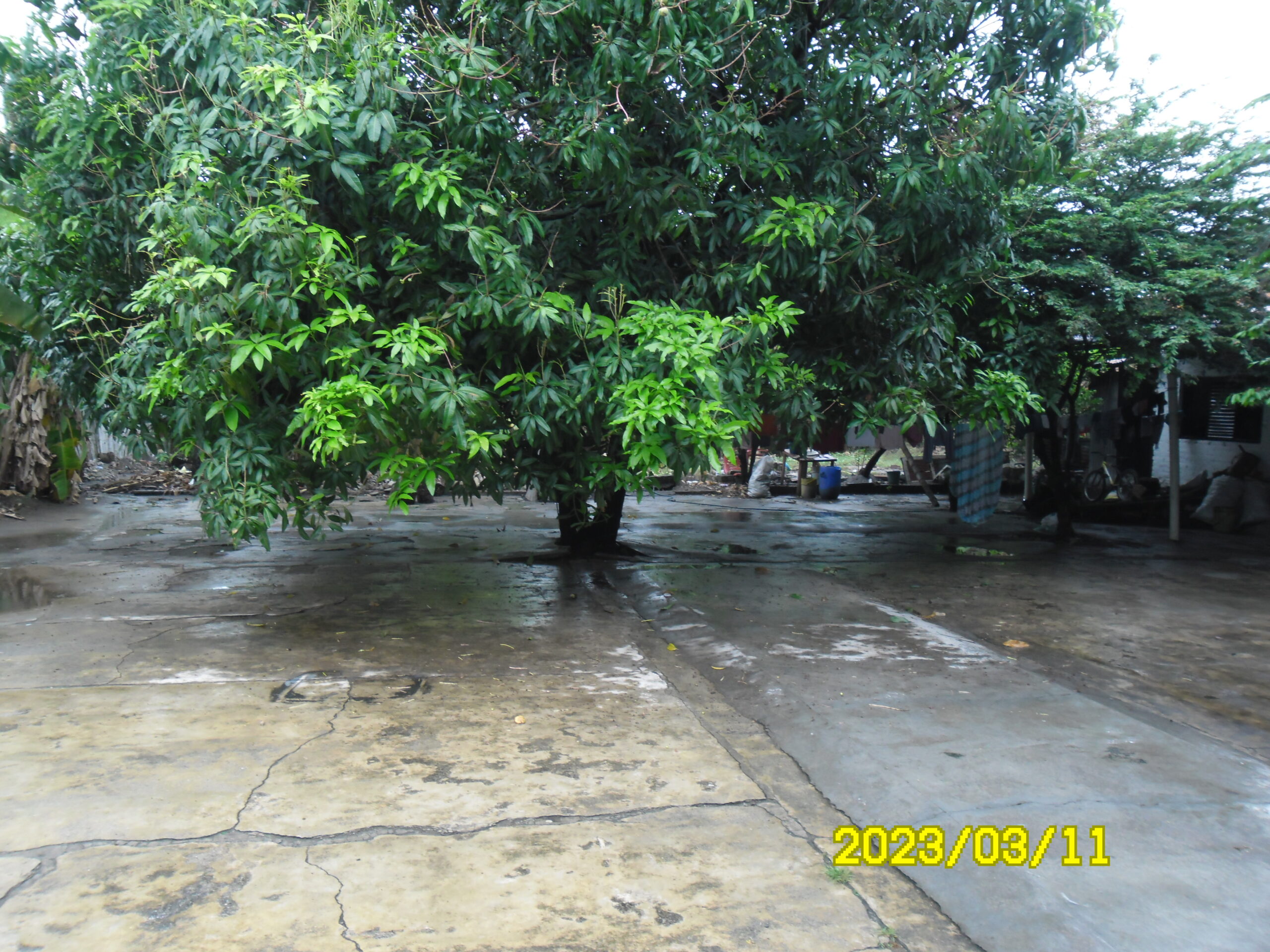 VENTA DE CASA EN VENADILLO