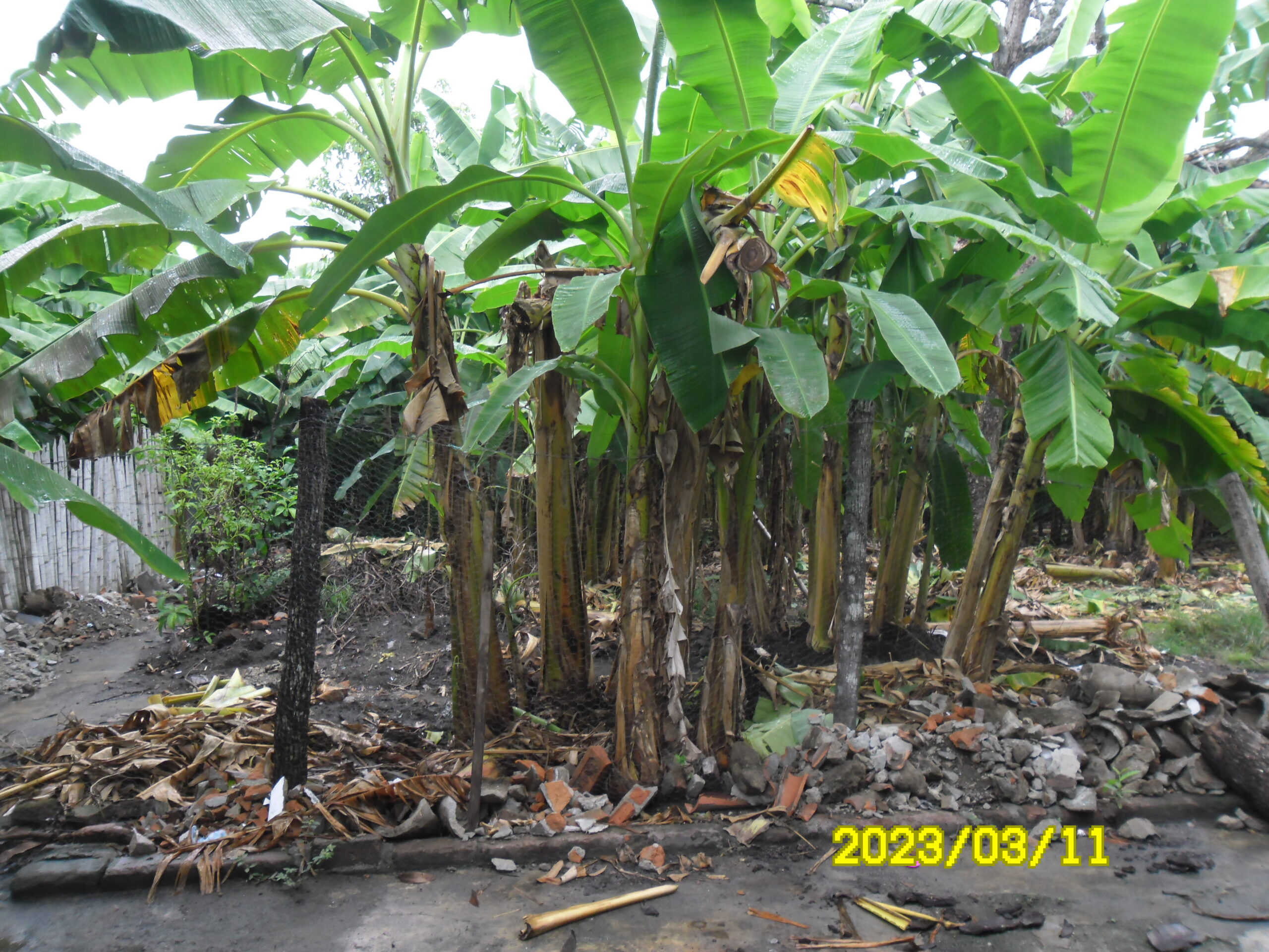 VENTA DE CASA EN VENADILLO