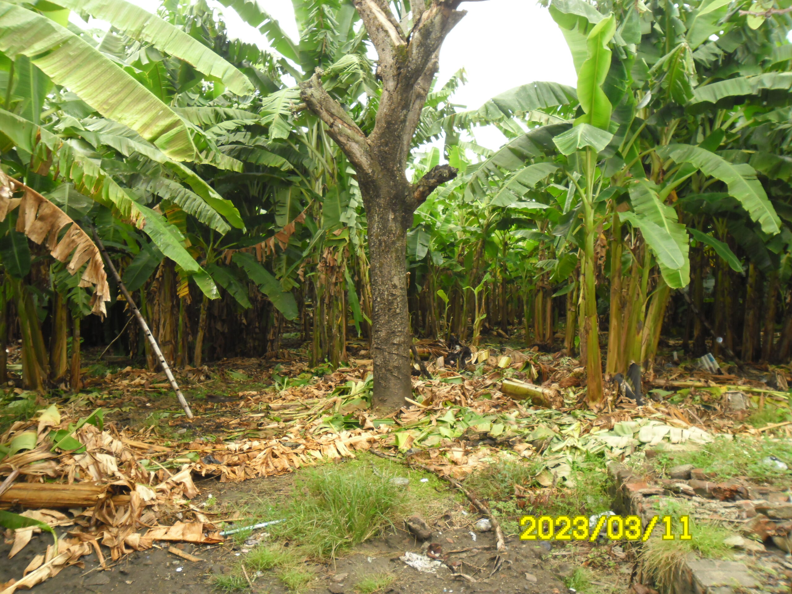 VENTA DE CASA EN VENADILLO