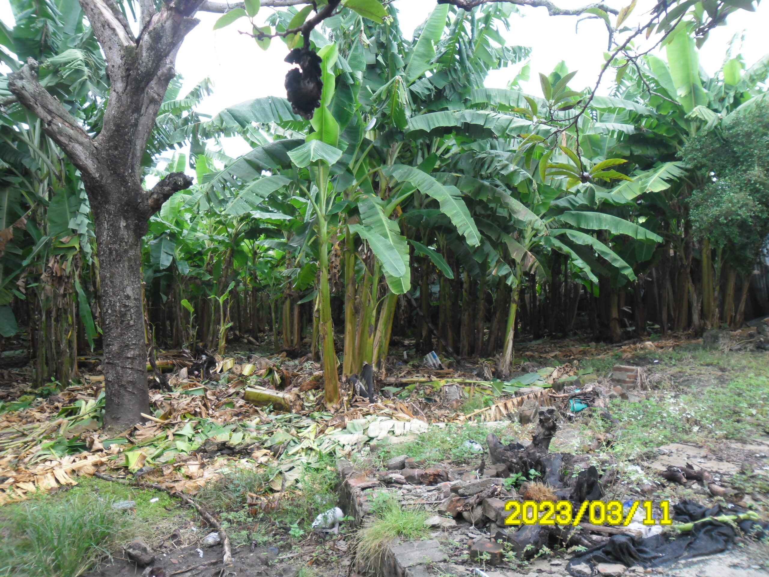 VENTA DE CASA EN VENADILLO