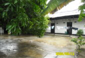 VENTA DE CASA EN VENADILLO