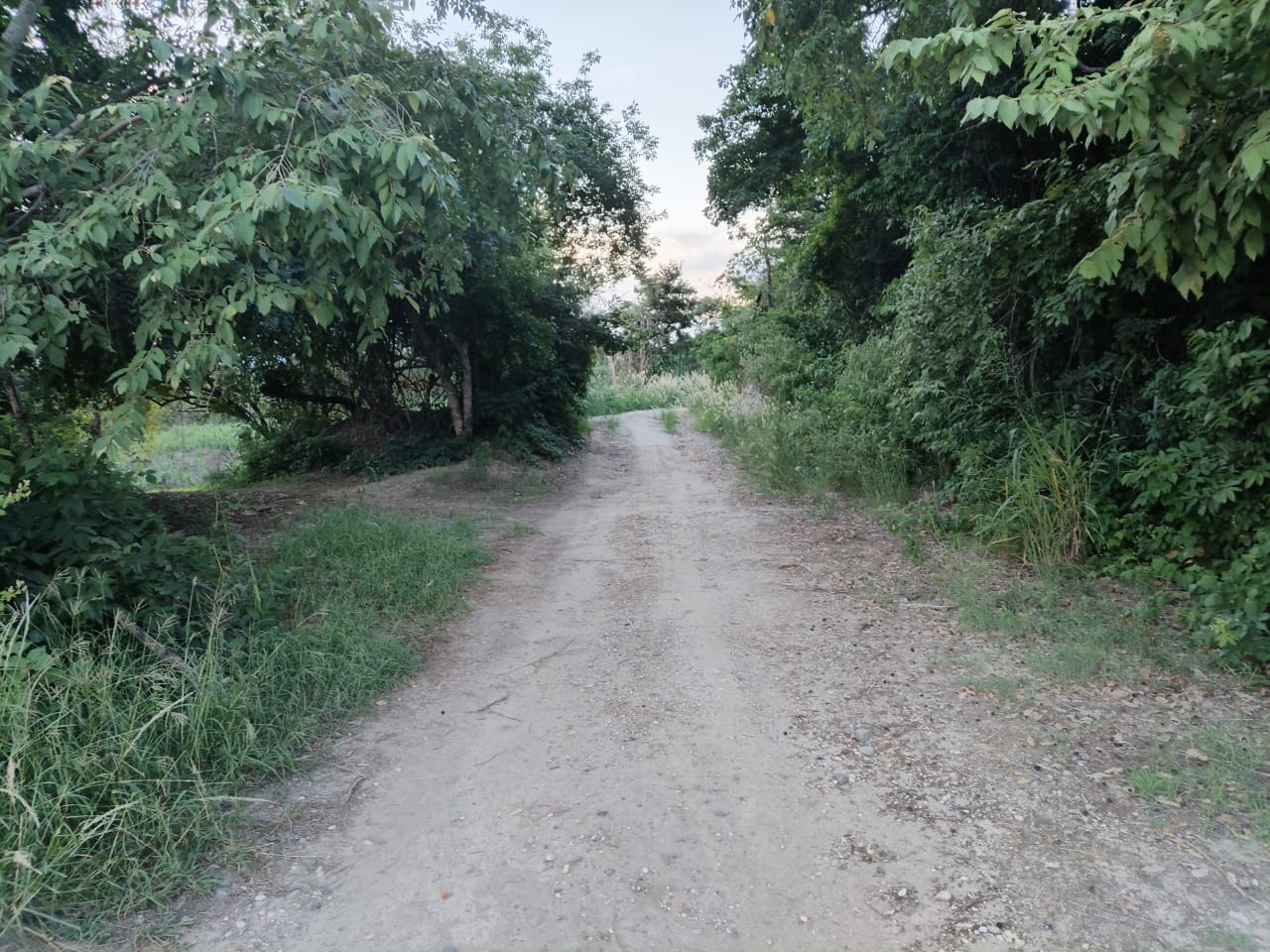 SE VENDE FINCA PARA GRANJA INTEGRAL EN VENADILLO