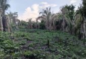SE VENDE FINCA PARA GRANJA INTEGRAL EN VENADILLO
