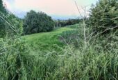 SE VENDE FINCA PARA GRANJA INTEGRAL EN VENADILLO