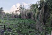 SE VENDE FINCA PARA GRANJA INTEGRAL EN VENADILLO