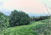 SE VENDE FINCA PARA GRANJA INTEGRAL EN VENADILLO