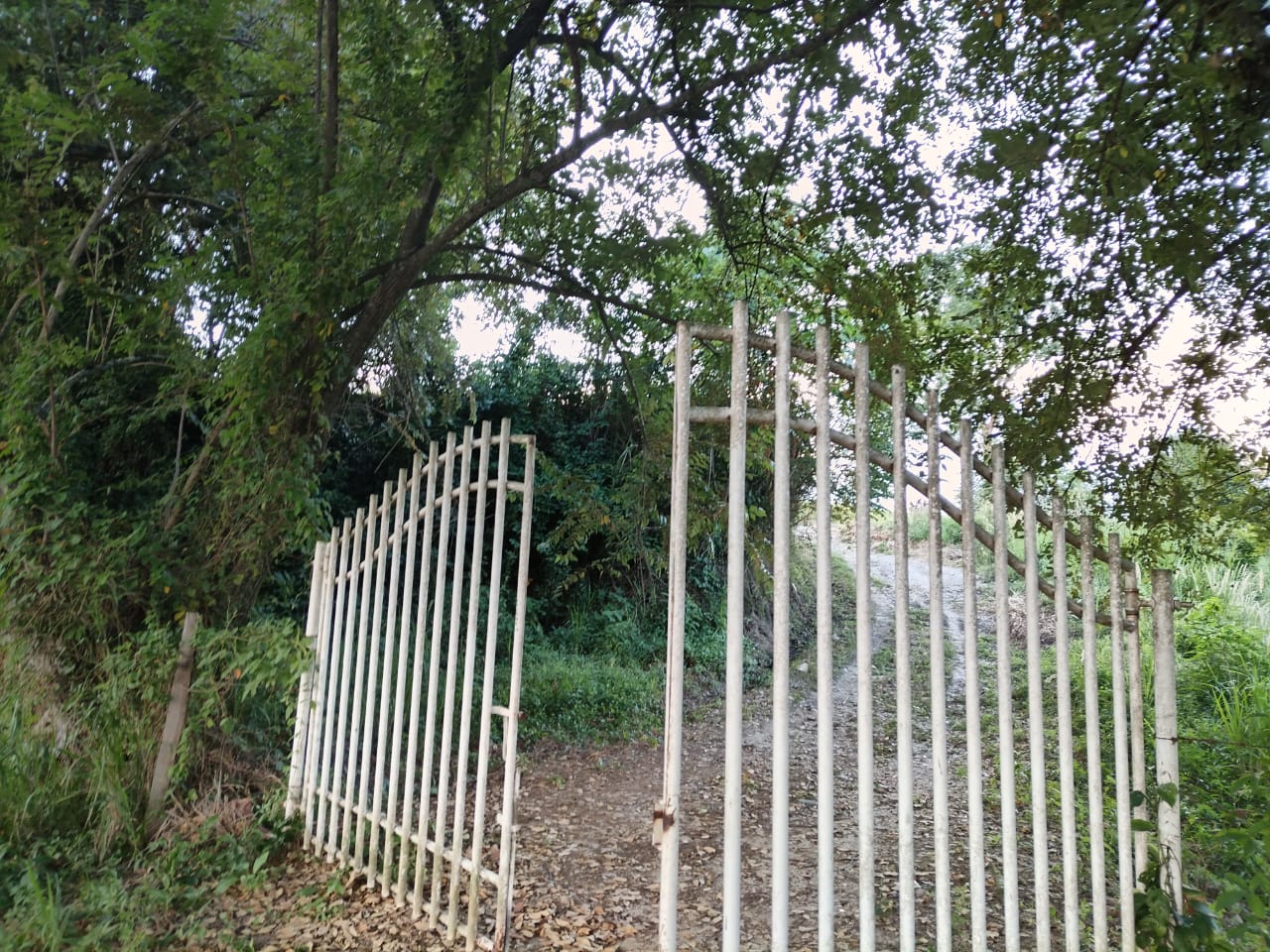 SE VENDE FINCA PARA GRANJA INTEGRAL EN VENADILLO