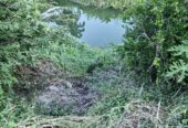 SE VENDE FINCA PARA GRANJA INTEGRAL EN VENADILLO