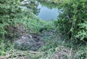 SE VENDE FINCA PARA GRANJA INTEGRAL EN VENADILLO