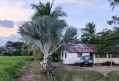 SE VENDE FINCA PARA GRANJA INTEGRAL EN VENADILLO