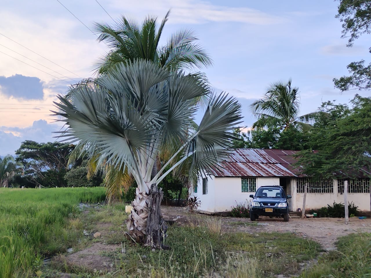 SE VENDE FINCA PARA GRANJA INTEGRAL EN VENADILLO