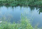 SE VENDE FINCA PARA GRANJA INTEGRAL EN VENADILLO