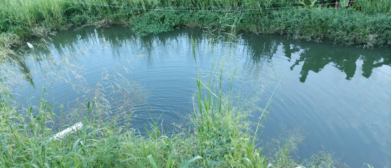 SE VENDE FINCA PARA GRANJA INTEGRAL EN VENADILLO
