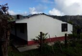 VENTA DE FINCA EN ZONA CAFETERA EN VENADILLO