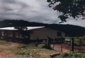 VENTA DE FINCA EN ZONA CAFETERA EN VENADILLO