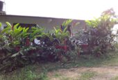 VENTA DE FINCA EN ZONA CAFETERA EN VENADILLO