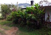 VENTA DE FINCA EN ZONA CAFETERA EN VENADILLO