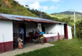 VENTA DE FINCA EN ZONA CAFETERA EN VENADILLO