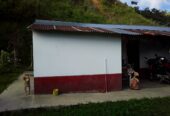 VENTA DE FINCA EN ZONA CAFETERA EN VENADILLO