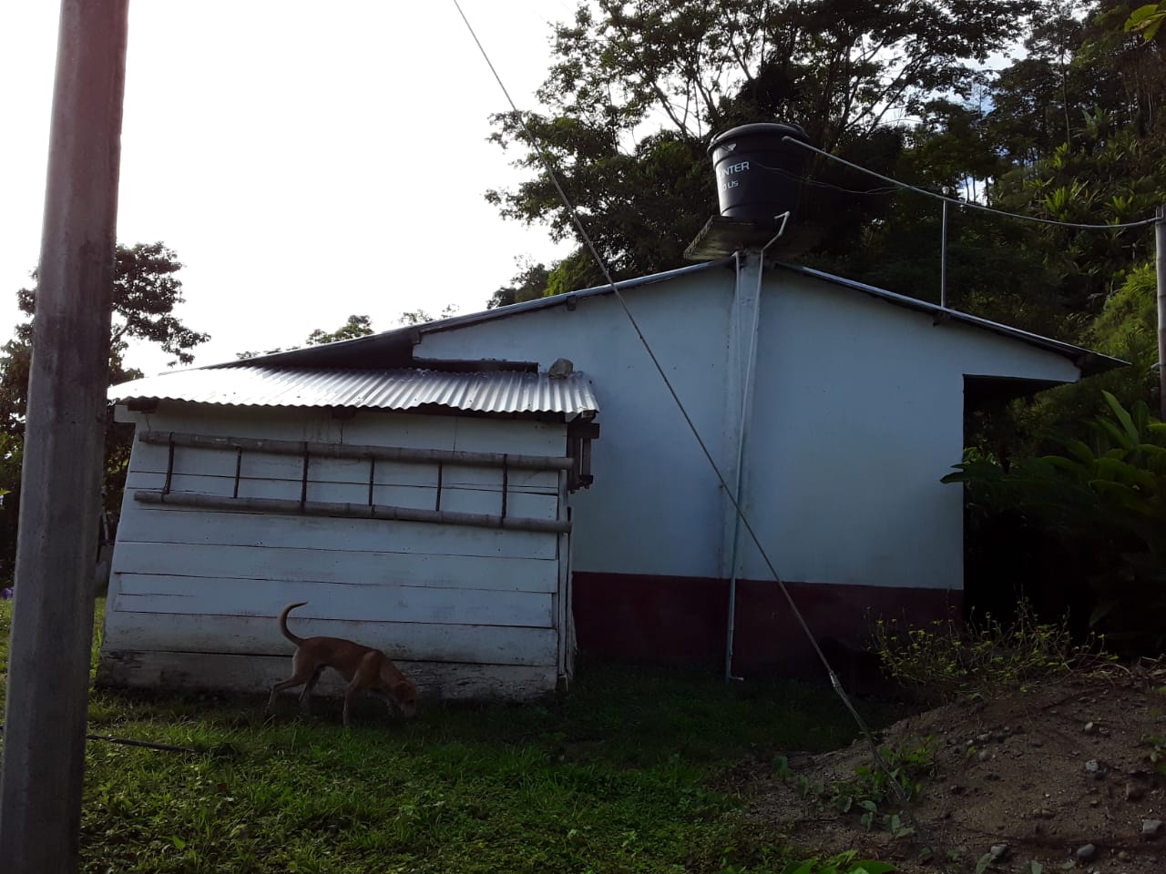 VENTA DE FINCA EN ZONA CAFETERA EN VENADILLO