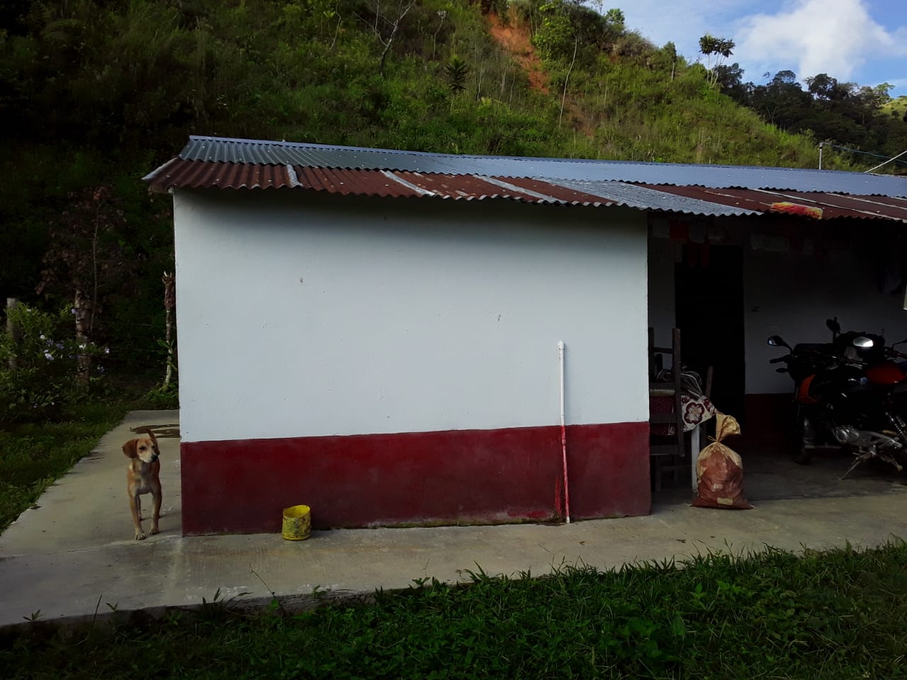 VENTA DE FINCA EN ZONA CAFETERA EN VENADILLO