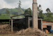 SE VENDE FINCA PANELERA EN MARIQUITA