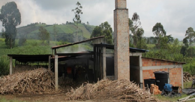 SE VENDE FINCA PANELERA EN MARIQUITA