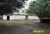SE VENDE FINCA ARROCERA-GANADERA Y PISCICOLA EN VENADILLO TOLIMA