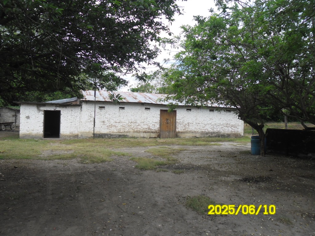 SE VENDE FINCA ARROCERA-GANADERA Y PISCICOLA EN VENADILLO TOLIMA