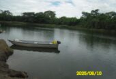 SE VENDE FINCA ARROCERA-GANADERA Y PISCICOLA EN VENADILLO TOLIMA