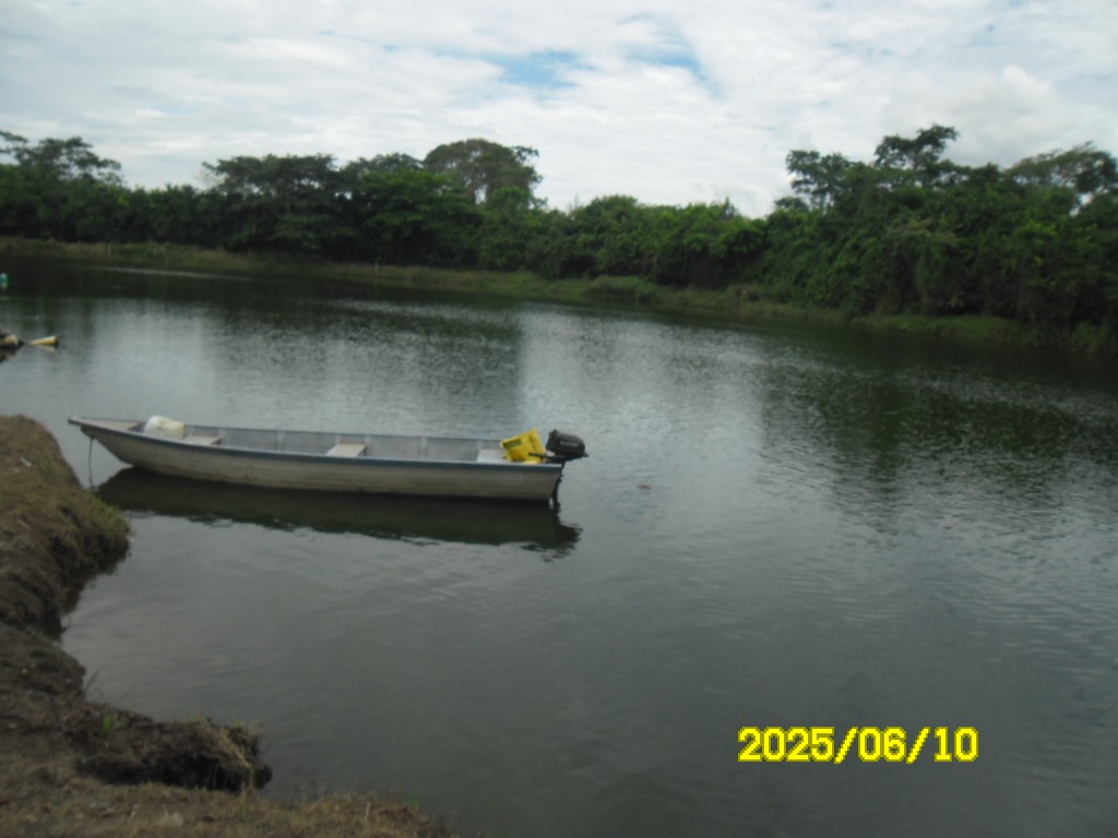 SE VENDE FINCA ARROCERA-GANADERA Y PISCICOLA EN VENADILLO TOLIMA