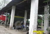 SE VENDE FINCA ARROCERA-GANADERA Y PISCICOLA EN VENADILLO TOLIMA