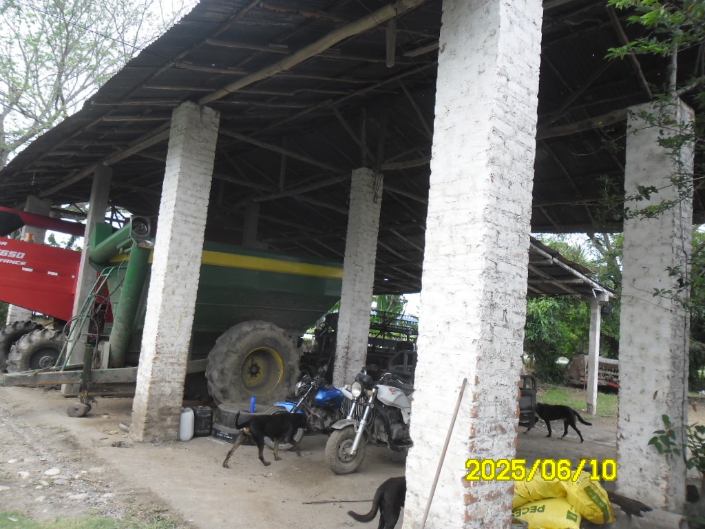 SE VENDE FINCA ARROCERA-GANADERA Y PISCICOLA EN VENADILLO TOLIMA