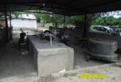 SE VENDE FINCA ARROCERA-GANADERA Y PISCICOLA EN VENADILLO TOLIMA