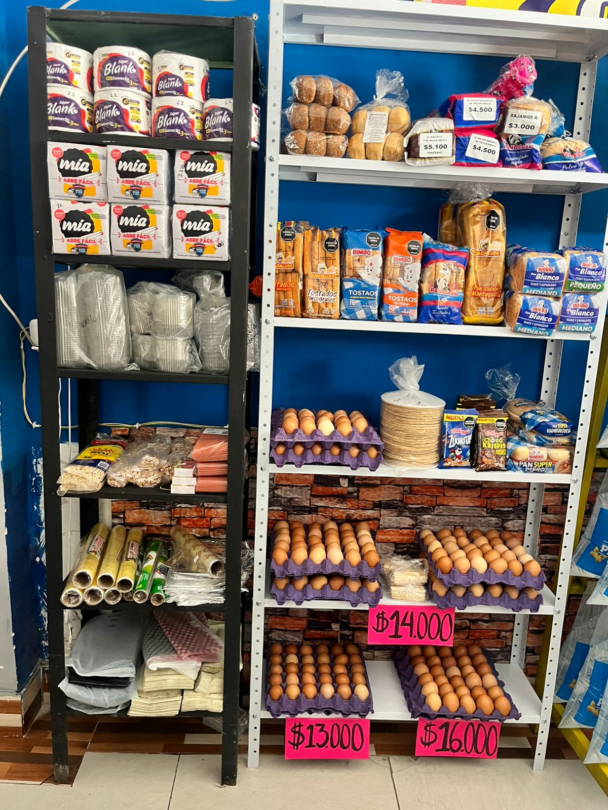 SE VENDE SALSAMENTARIA EN IBAGUE